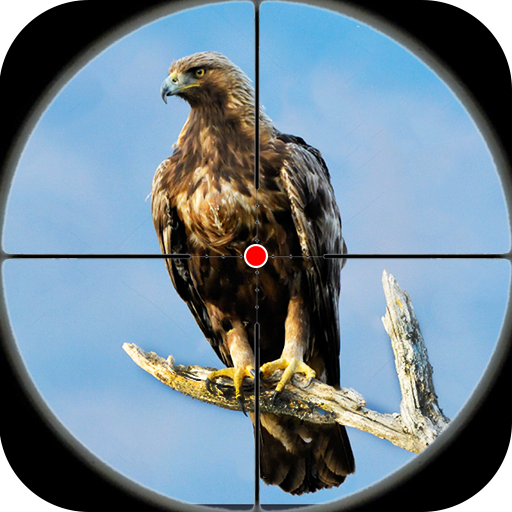Desert Birds Sniper Shooter 3D MOD Unlimited Money 6.8