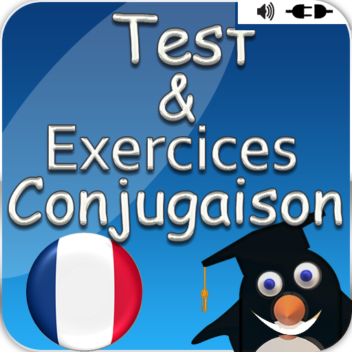 Game – exercices conjugation MOD Unlimited Money 4.9.3