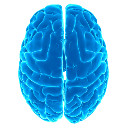 Logical tests – IQ MOD Unlimited Money 12.36