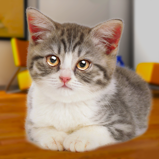 Talking Cat Funny MOD Unlimited Money 1.2.0